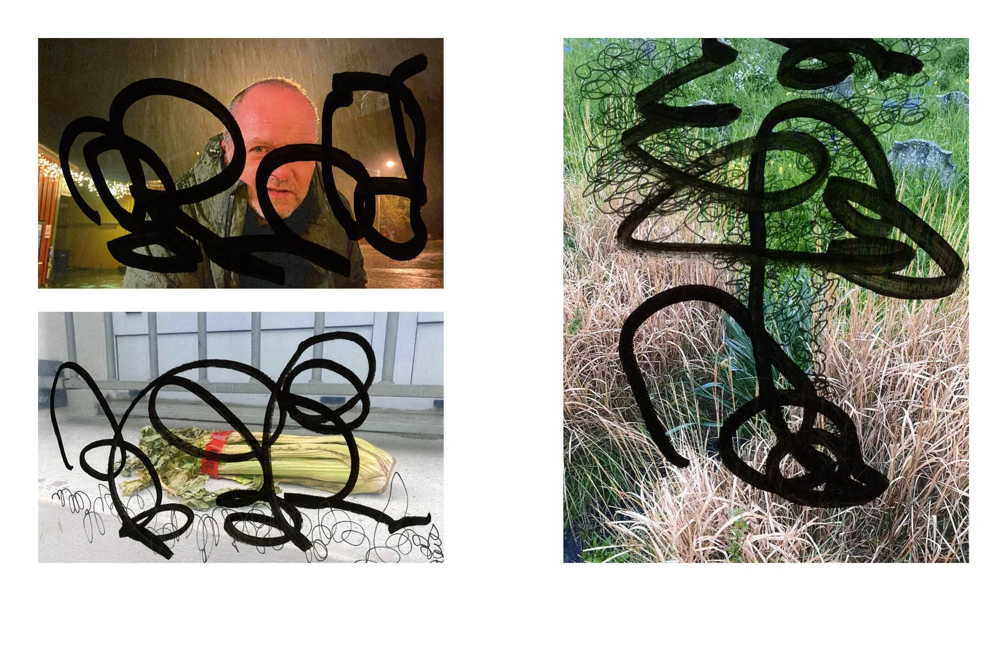 Spread with a portrait in rain, celery on a ledge and wild grass, all covered in thick black brush loops